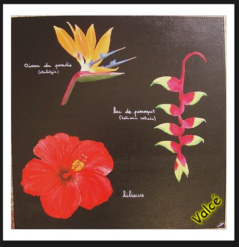 fleurs exotiques, peinture acrylique,hibiscus, oiseau de paradis, bec de perroquet