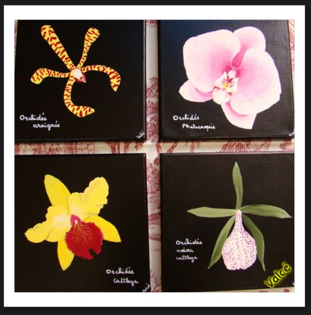 orchidees, peinture acrylique