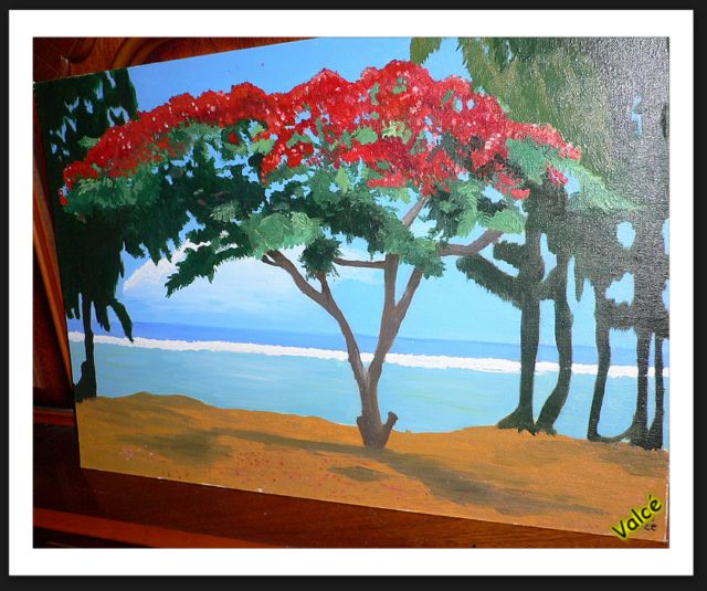 flamboyant au bord de mer, Réunion image, tableau huile coloré, rouge